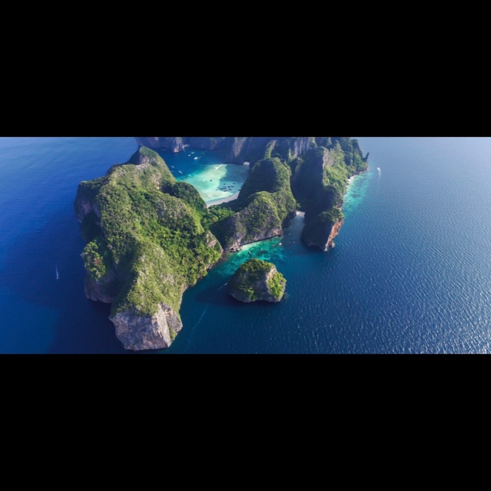 Meet your Posher, Tasha